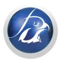Falcon ERP logo
