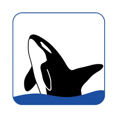 ORCA Financial logo